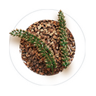 Buckwheat groats