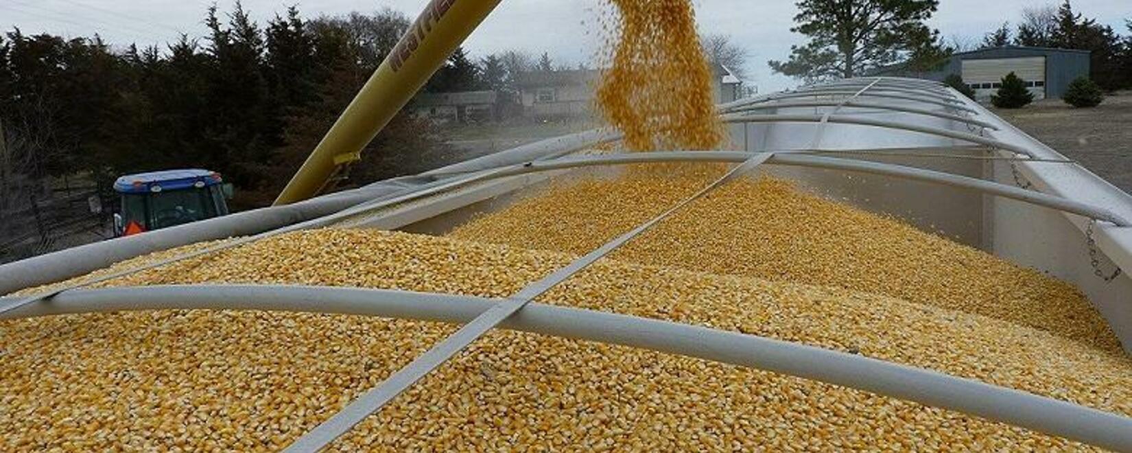 Экспортеры зерна из РФ могут получить право отказаться от части квоты на его вывоз