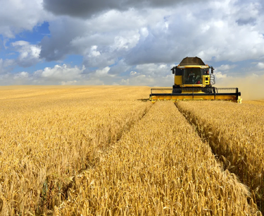 Export of wheat and barley from Kazakhstan to Iran without paying duty