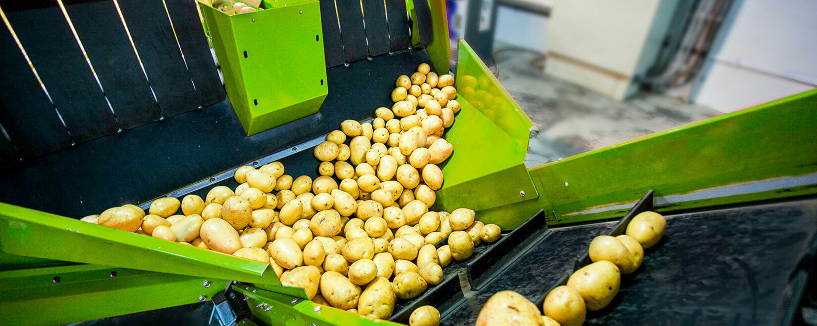 Повышение импортных пошлин на картофель и его переработку для защиты от 