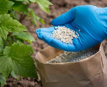 向俄罗斯联邦国内市场提供化肥的措施可能延长六个月