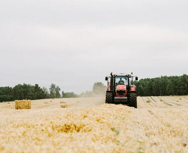 «Русагротранс» повысил прогноз валового сбора пшеницы до 88,7 млн тонн. Экспортный потенциал будет ниже рекордного сезона 2022