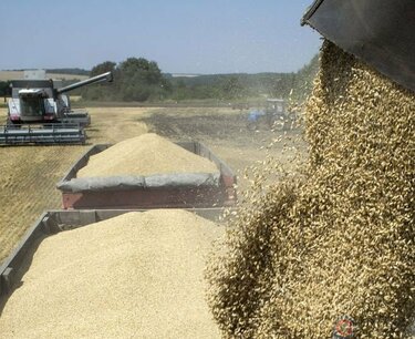 羅斯托夫州2023年農產品出口增加四分之一