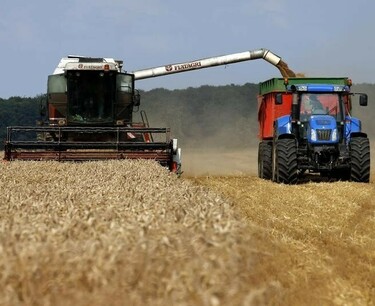 "СовЭкон" повысил прогноз сбора пшеницы в РФ в 2023 году на 1,5 млн т, до 86,8 млн т