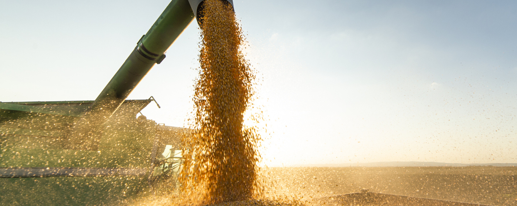 Есть все шансы, что экспорт пшеницы будет увеличен, в сравнении с предыдущим годом
