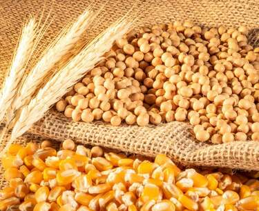 Фьчерсы на кукурузу, сою и пшеницу снизились в пятницу