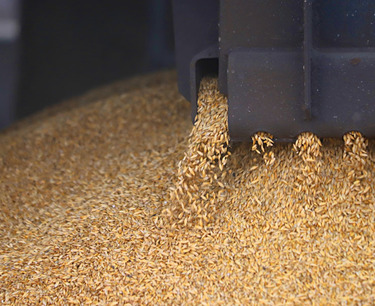 In the first 4 months of 2023, 10.8 million tons of grain were transported by rail