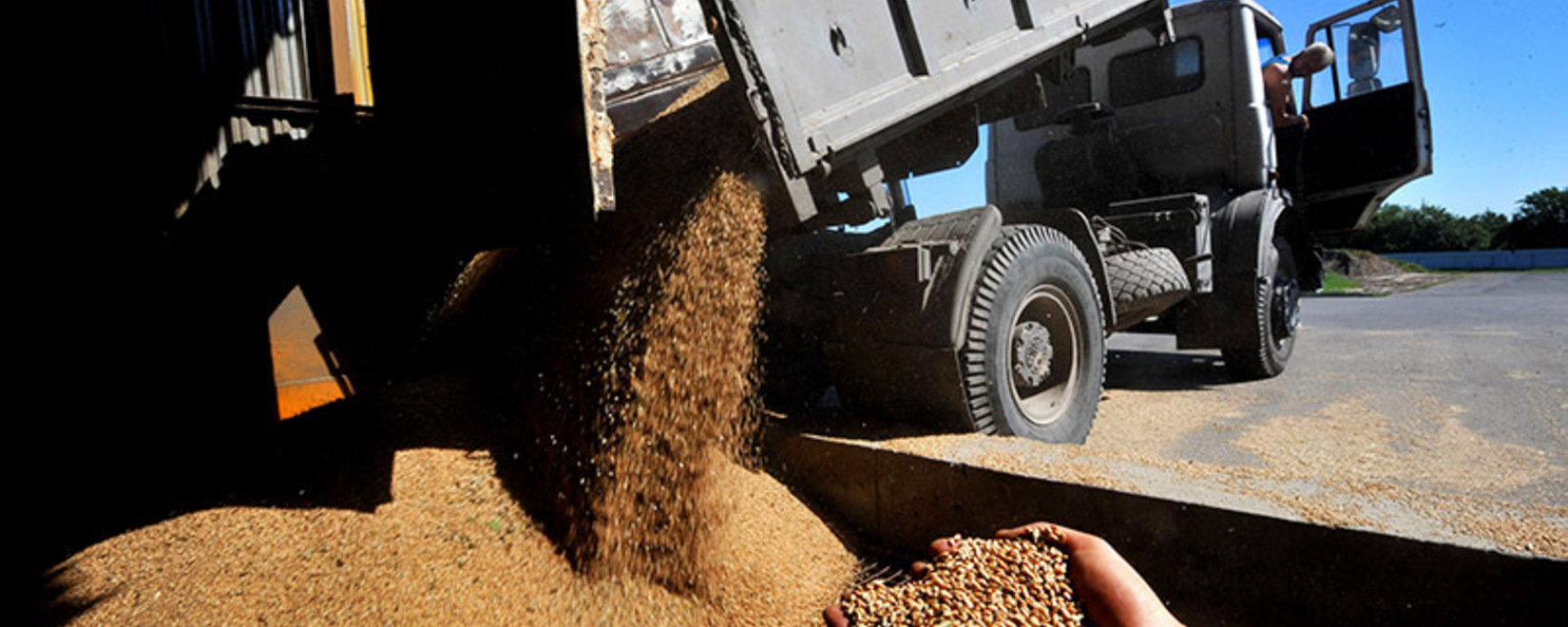 РФ с 1 по 7 июня увеличила отгрузки зерна на экспорт почти на треть