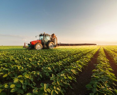 Sowing delay in Brazil and its impact on market prices in 2024