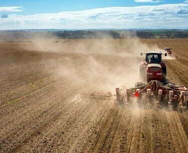 Сев зерновых и зернобобовых культур составил 27,25 млн./га