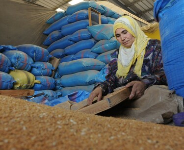 Марокко установило субсидию на импорт пшеницы