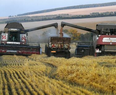 截至9月1日俄罗斯粮食收成比去年减少12.4%