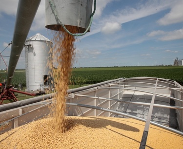 Soybean processing volumes in China are still lower than last year's figure
