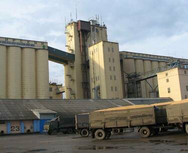 Карталинский комбинат хлебопродуктов продают за 35 млн рублей