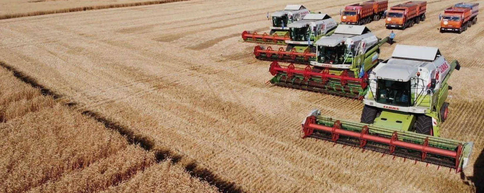Уборочная кампания зерновых во Владимирской области выполнена на 80%
