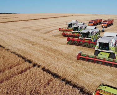 Уборочная кампания зерновых во Владимирской области выполнена на 80%