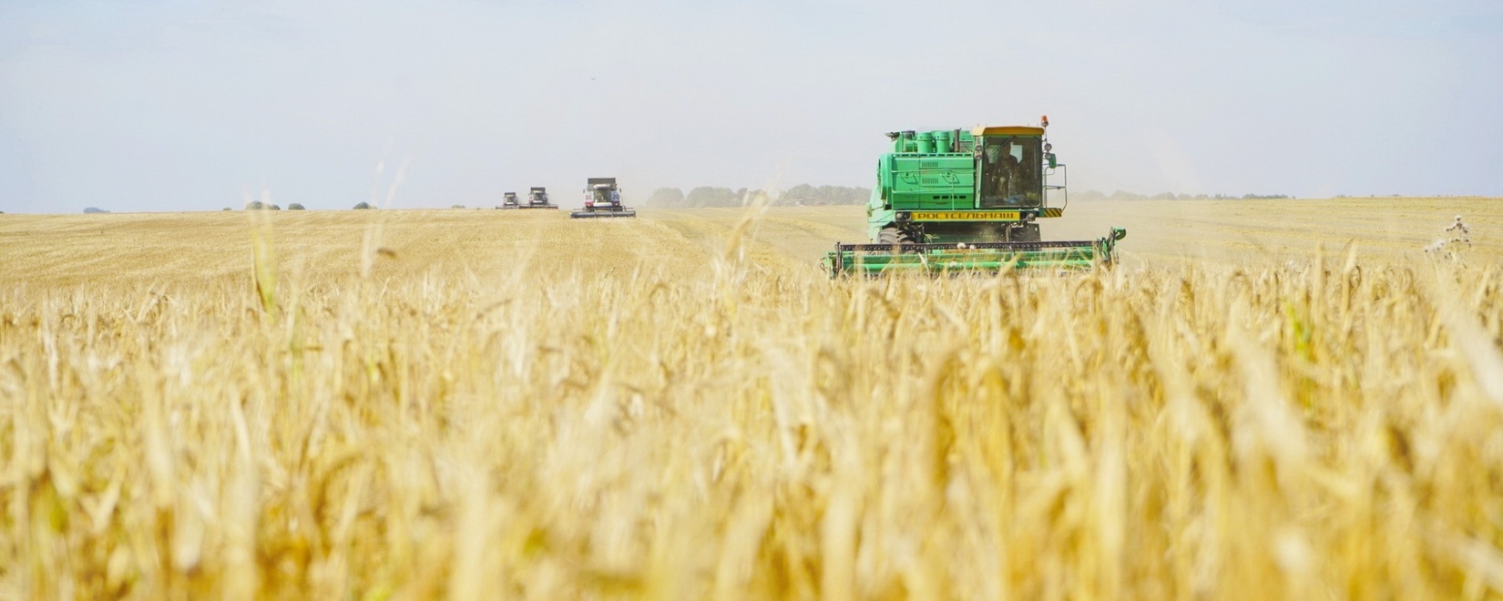 World grain market: prices for wheat, soybeans and corn fell on Friday