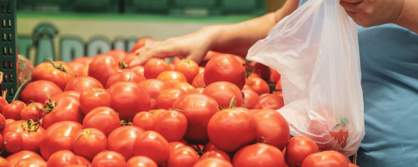 Brown crinkle virus detected in a batch of tomatoes from Turkey