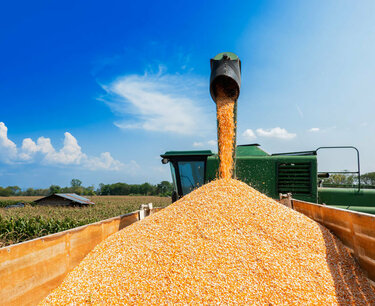 Россия планирует увеличить экспорт зерна до 46,6 млн тонн с июля 2023 по февраль 2024 - прогноз аналитика.
