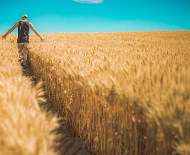 哈萨克斯坦农业部发布了有关农业生产者销售农产品时间的建议。