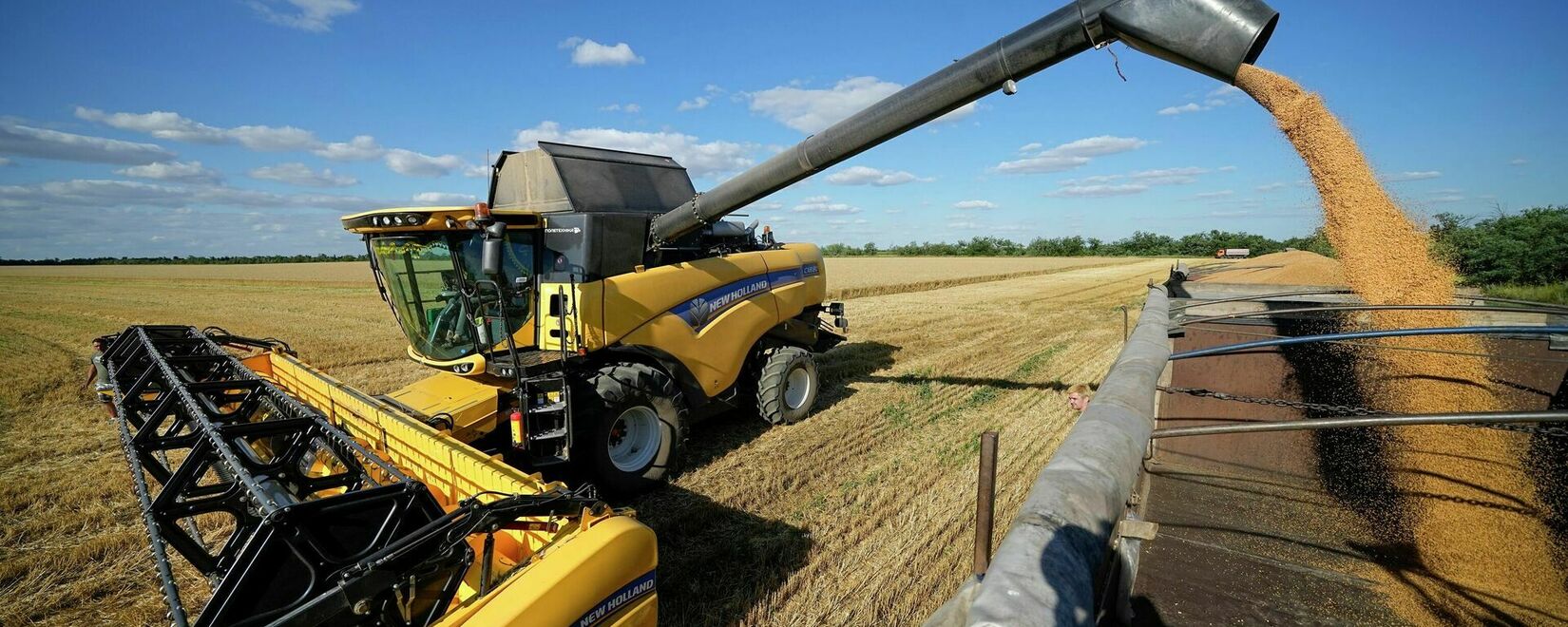 Запасы зерна в Казахстане составляют почти 12 млн тонн