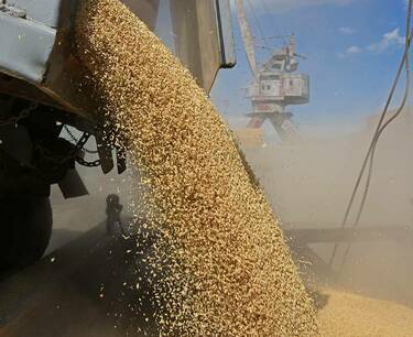 VTB failed to cope with the grain