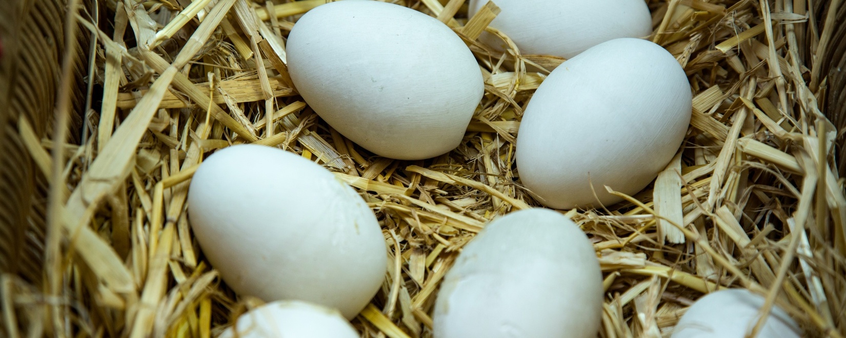 Цены на яйца в России начнут снижаться