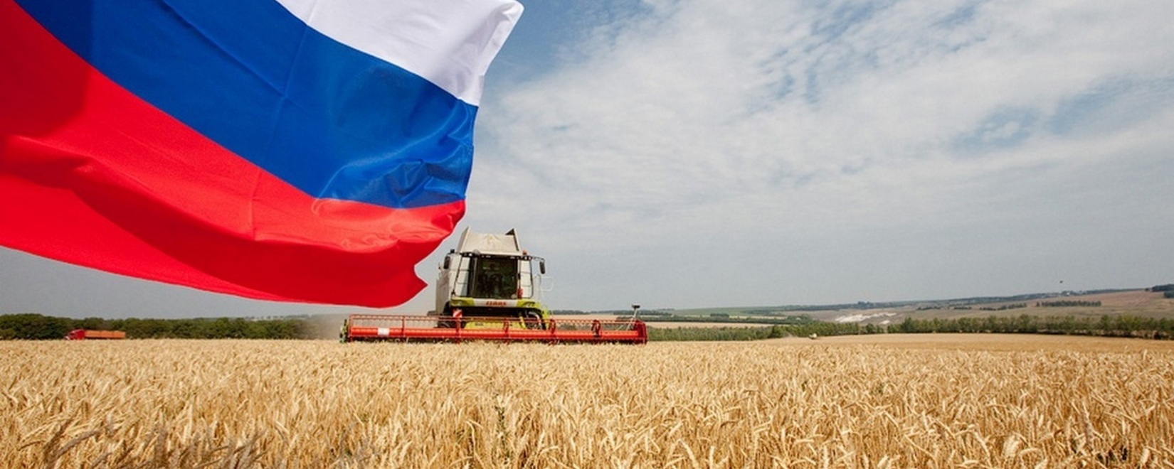 Цены на российскую пшеницу продолжают расти на мировом рынке
