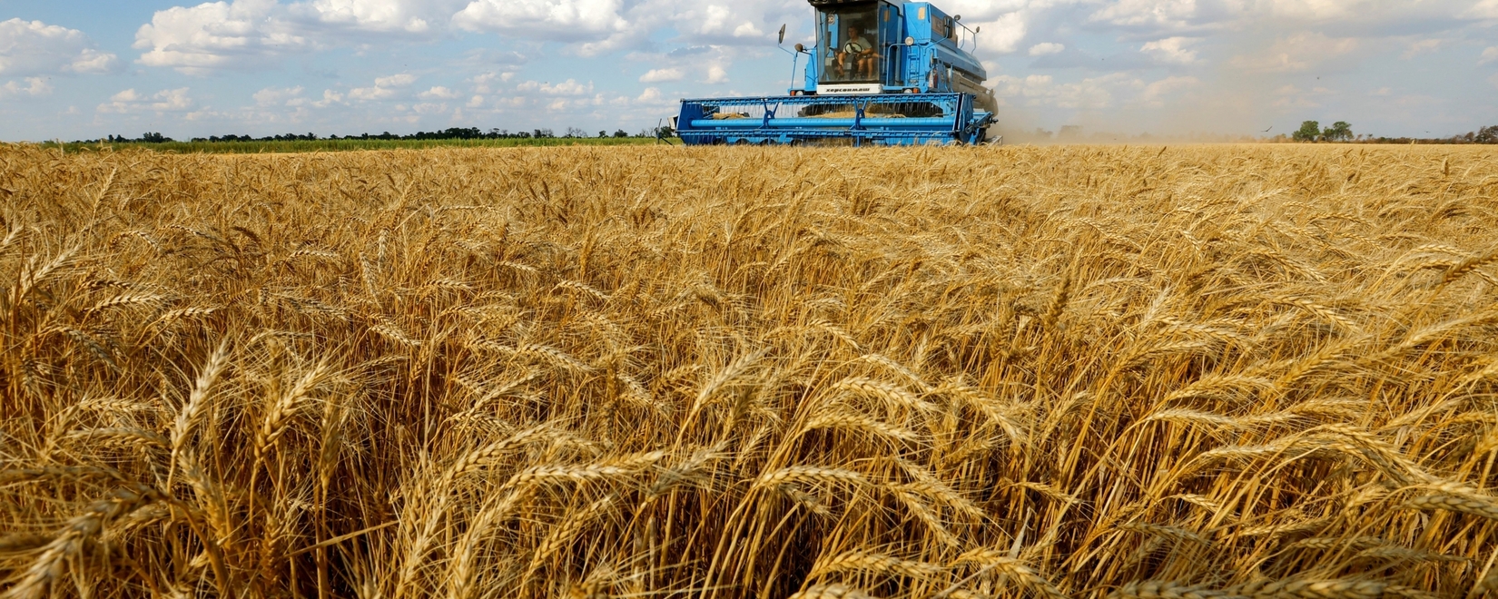Rusagrotrans 对俄罗斯小麦的需求再次增长。
