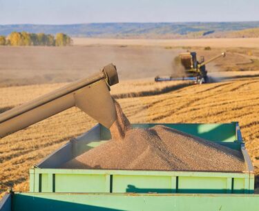 Agritel专家上调法国软质小麦出口预测