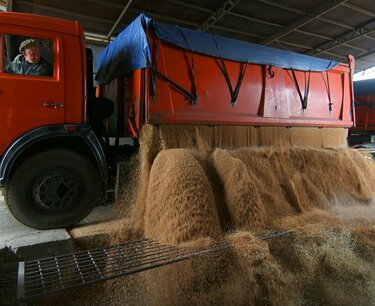 В Минсельхозе РФ обсудили вопросы транспортировки зерна