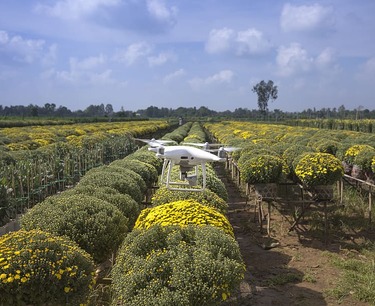 Rosselkhozcenter is launching a program to implement agrodrones for agriculture by 2026.