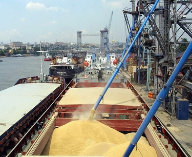 В России на фоне больших запасов продолжают падать цены на пшеницу