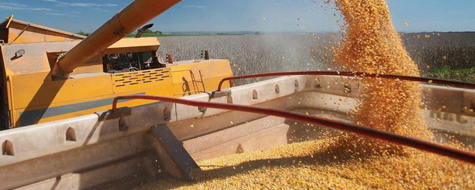 Турция с 1 мая ввела пошлину на импорт пшеницы, ячменя и кукурузы в размере 130%