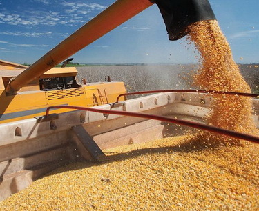 Турция с 1 мая ввела пошлину на импорт пшеницы, ячменя и кукурузы в размере 130%
