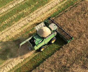 Курская область на фоне санкций в 3,7 раза увеличила поставку пшеницы и кукурузы в Латвию