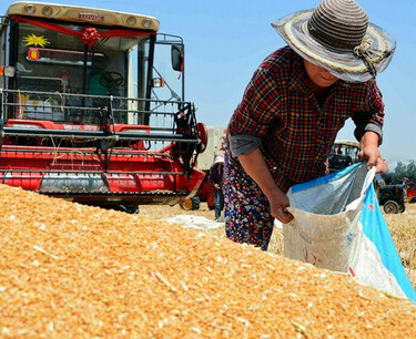 Россельхознадзор сообщил о готовности КНР открыть рынок для российского зерна