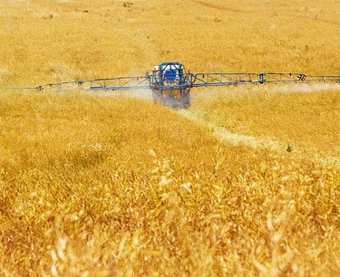 美国农业部对小麦和谷物出口的预测：俄罗斯保持领先地位，欧盟下调预测。