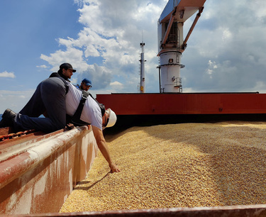 Global market: soybeans and wheat continue to trade higher on Friday in Chicago