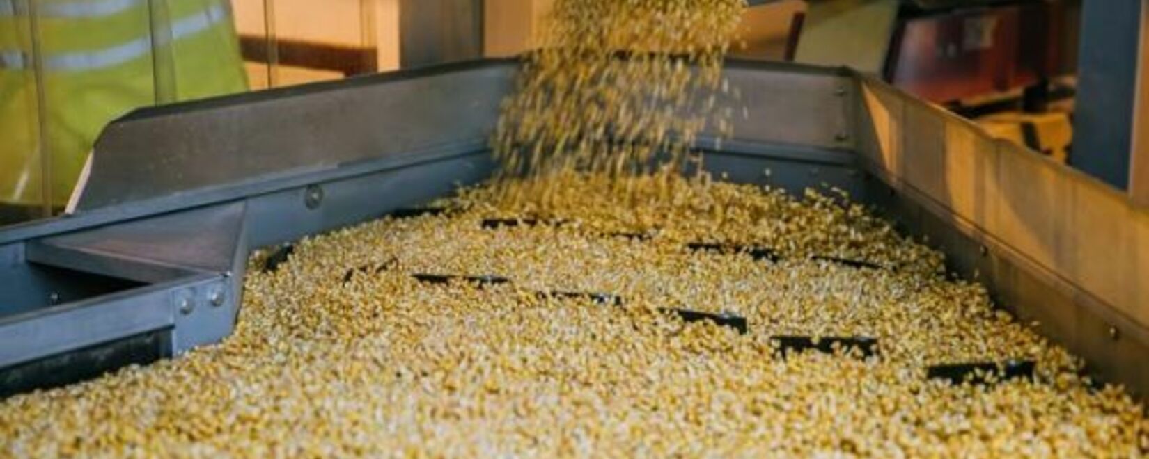 Wheat and corn prices fell, soybean prices rose sharply on Tuesday