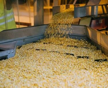 周二小麦和玉米价格下跌，大豆价格大幅上涨