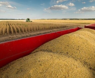 巴西擬向美國出口7.9萬噸大豆