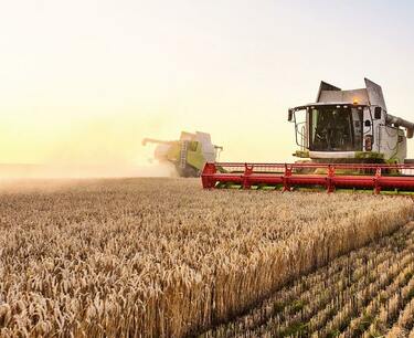 Мировые запасы зерна упали до восьмилетнего минимума