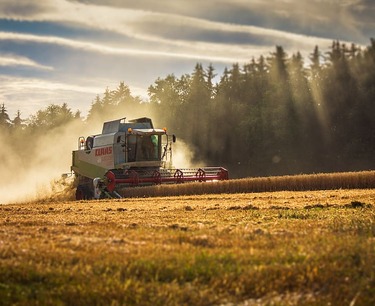 Президент Путин поддержал идею создания зерновой биржи БРИКС для более справедливого ценообразования на мировом рынке