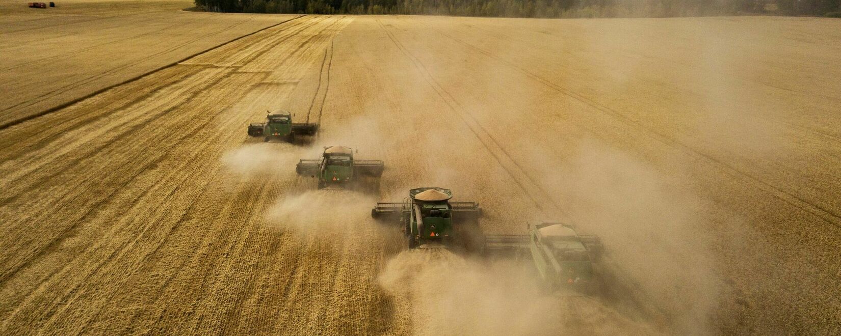 РФ с 1 по 20 мая в 4,2 раза увеличила отгрузки пшеницы на экспорт
