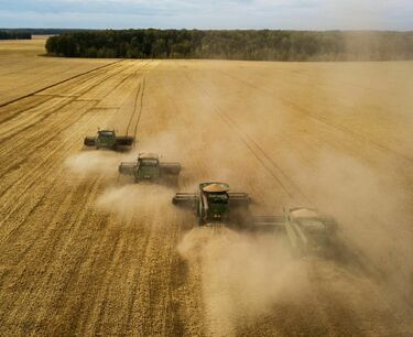 РФ с 1 по 20 мая в 4,2 раза увеличила отгрузки пшеницы на экспорт