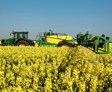 The ban on the export of rapeseed from Russia has been extended until 2024