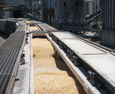 Потенциал экспорта зерна из России в текущем сельхозгоду около 62 млн тонн