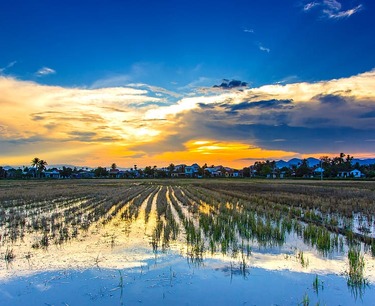 The company "APK Resurs" plans to create 1,000 jobs in a project for cultivation and processing of rice in the Astrakhan region.