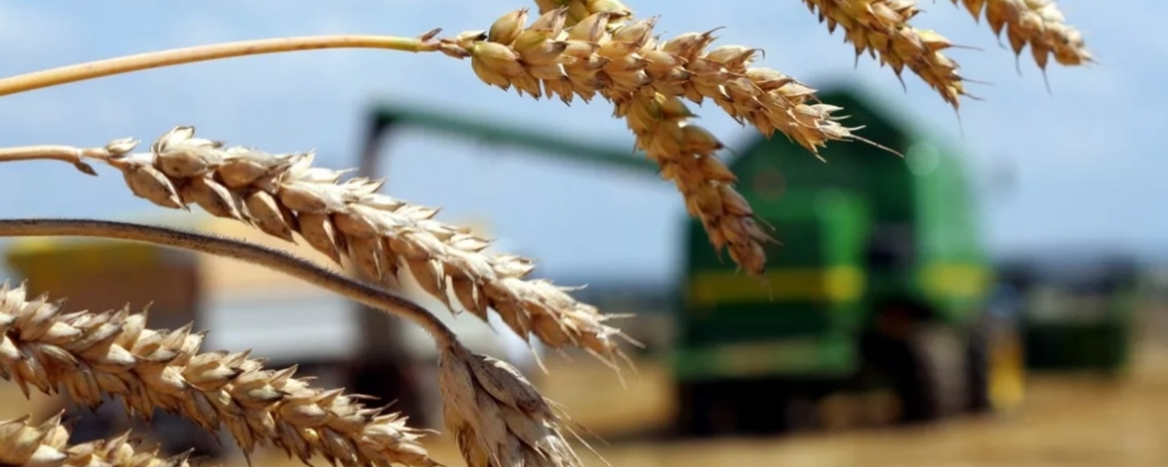 Ожидается, что экспорт сельскохозяйственной продукции США снизится в 2023 году